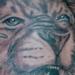 Tattoos - Lion tattoo  - 56663